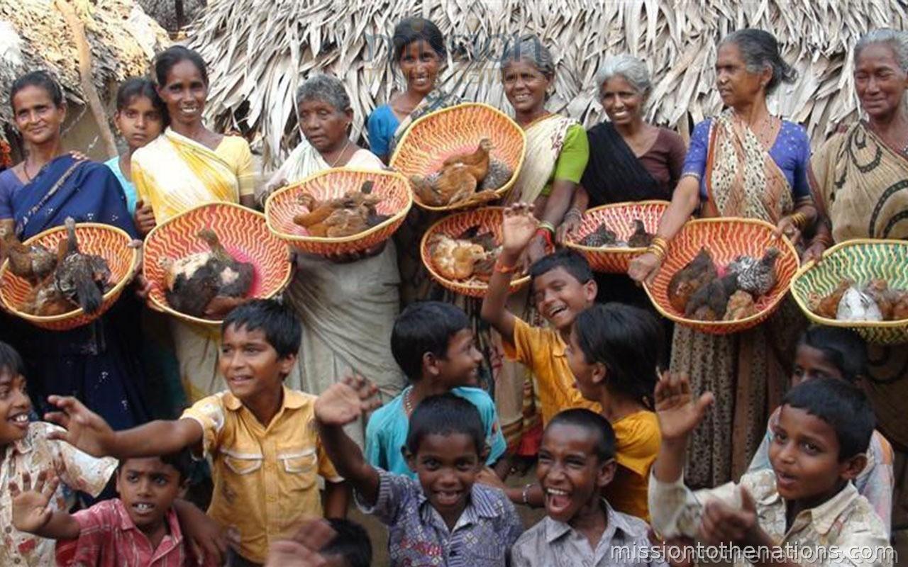 MTN poultry cooperative — women earning daily income from eggs